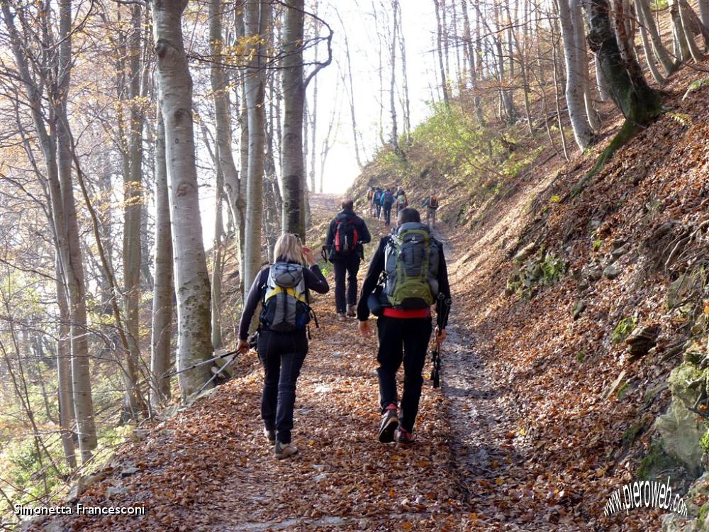 04 Proseguendo nel bosco.JPG